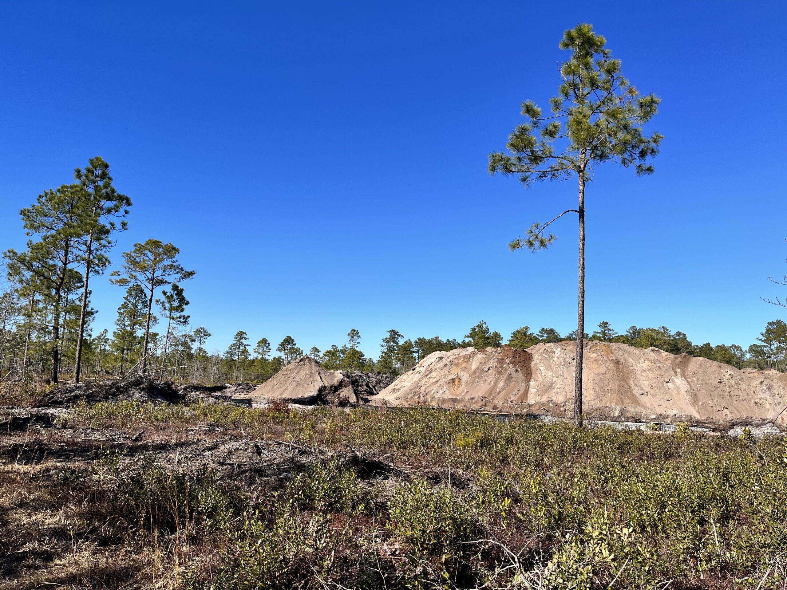 Edge Road Mine   Coastal Conservation League