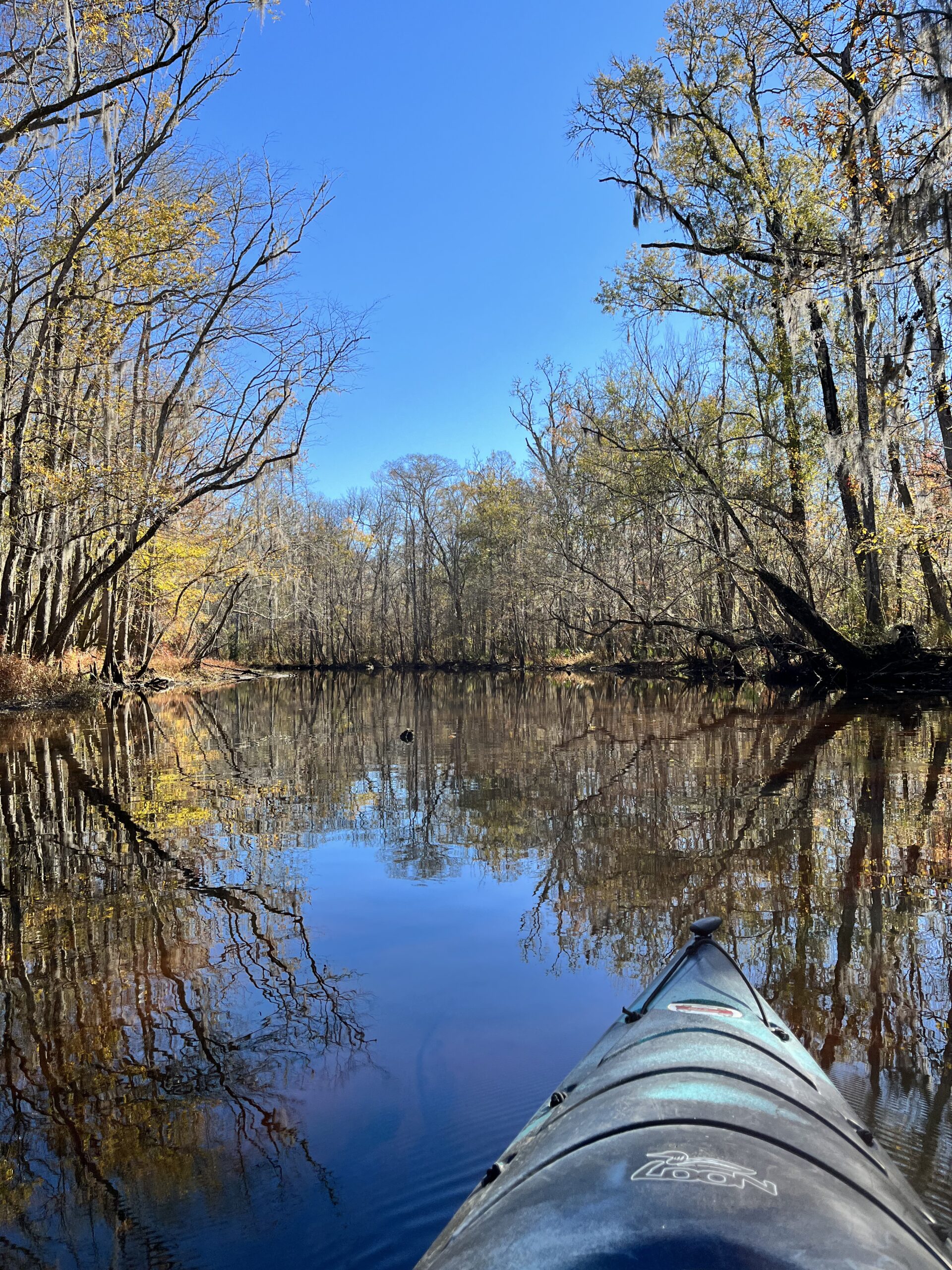 Black River via Kayak