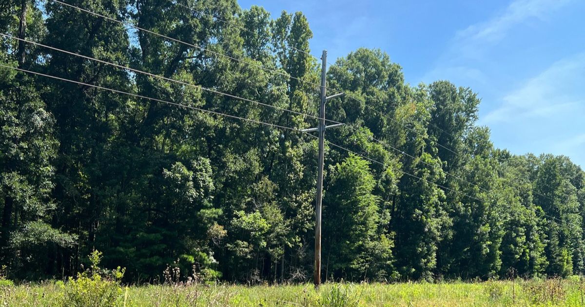 A power line in the foreground against trees growing from grass.